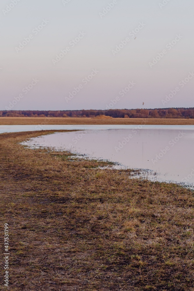 Spring flood on the river against the background of deciduous forest and sunset sky