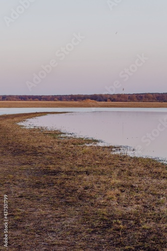 Spring flood on the river against the background of deciduous forest and sunset sky