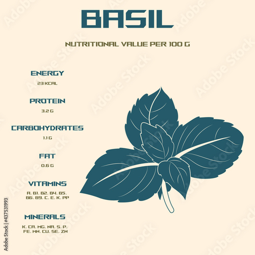 Basil. Calorie content and energy value of products. Chemical composition and nutritional value. Basilica infographics.