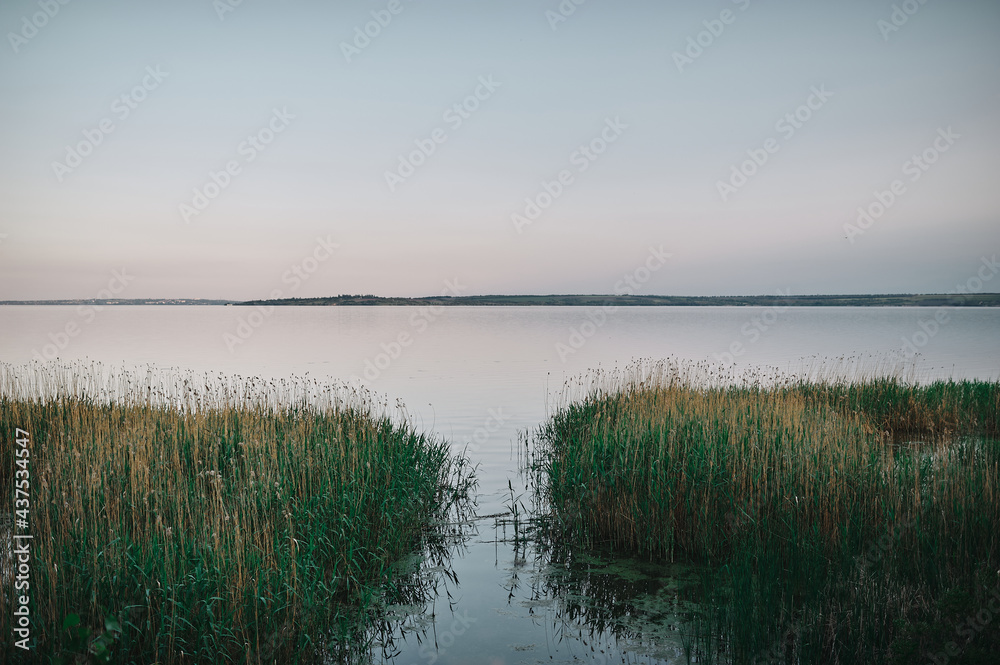 Forest on a cliff near a river flood near a reservoir at sunset