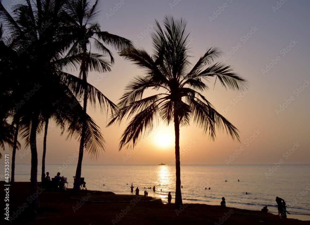 palm trees at sunset | silhouette of trees at sunset | sunset in the palm | sun between palm | silhouette of a persons on the beach 