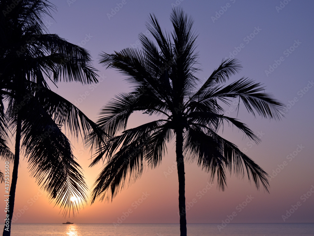 palm trees at sunset | silhouette of trees at sunset | sunset in the palm | sun between palm