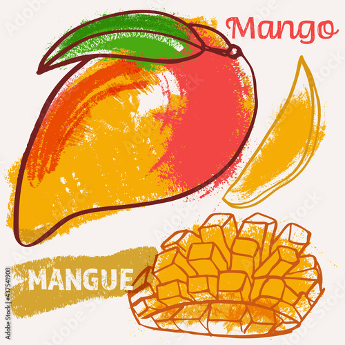 Mango line art and color hand-drawn vector illustration. Rough crayon strokes doodle in an expressive loose coloring book style