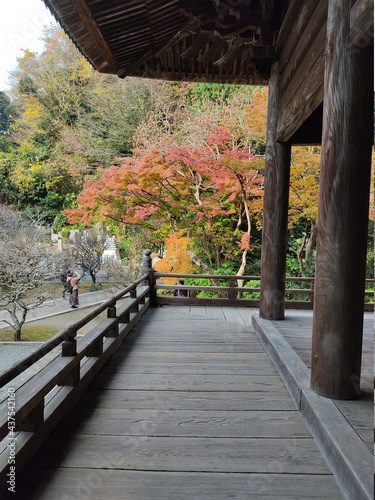 紅葉