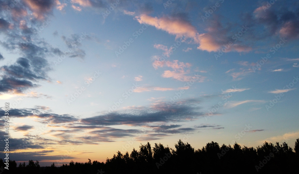 Beautiful contrasting clouds in the sky at sunset with the silhouette of a black forest. Background for design Beautiful contrasting clouds in the sky at sunset with the silhouette of a black forest. Background for design