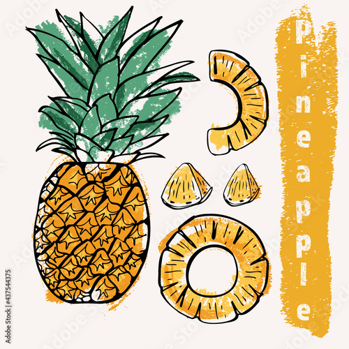 Pineapple line art and color hand-drawn vector illustration. Rough crayon strokes doodle in an expressive loose coloring book style