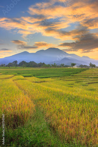 Indonesian landscape view with mountains and sunrise sky in the morning in a small village rice field