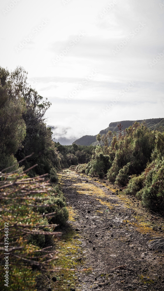 Madeira is a Portuguese island with great nature and hiking trails. Madeira is a Portuguese island with great nature and hiking trails.