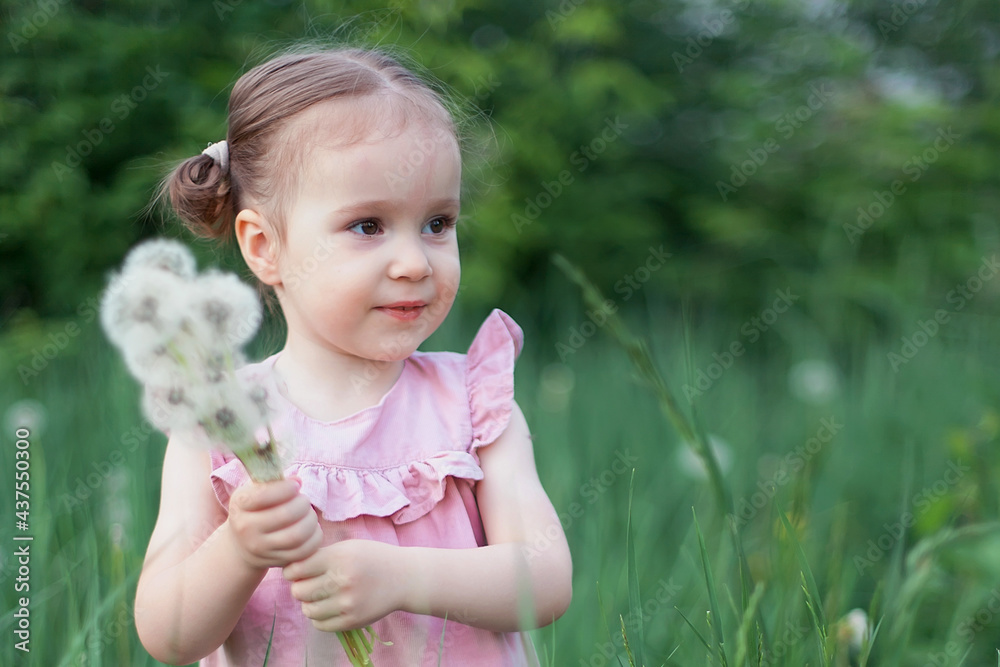 Adorable cute little baby girl blowing on a dandelion flower on the nature in the summer. Happy healthy beautiful toddler child with blowball, having fun. Bright sunset light, active kid Adorable cute little baby girl blowing on a dandelion flower on the nature in the summer. Happy healthy beautiful toddler child with blowball, having fun. Bright sunset light, active kid