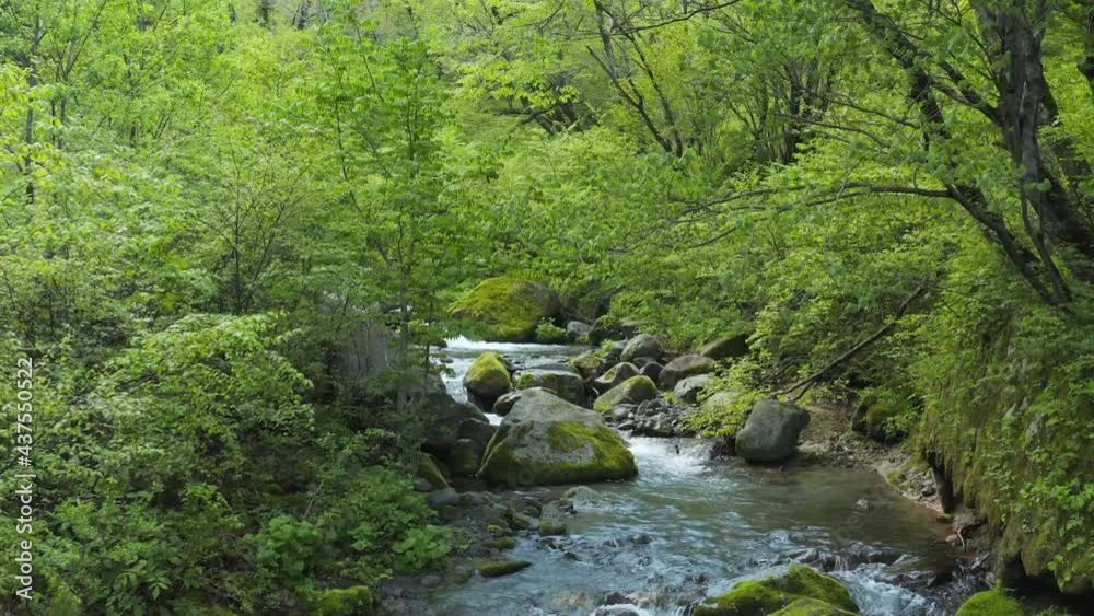 Mount Daisen River, Slow Pullback Reveal Shot, Tottori Japan Mount Daisen River, Slow Pullback Reveal Shot, Tottori Japan