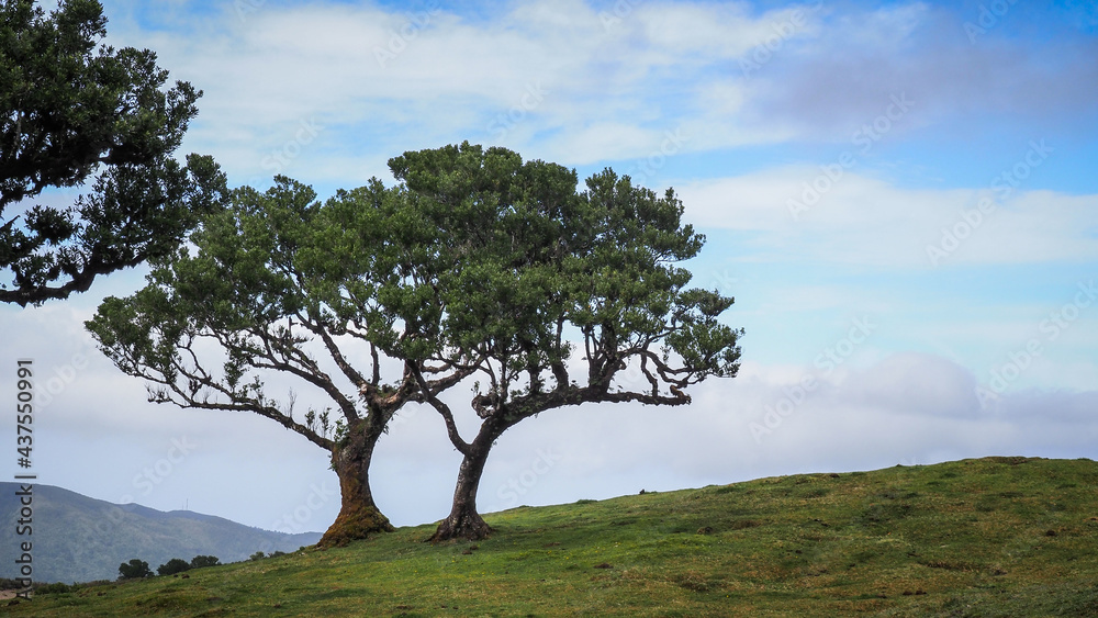 Madeira is a Portuguese island with magnificent nature and hiking trails.