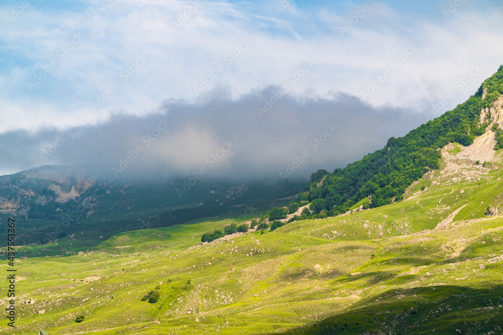 Obraz premium Rocky mountain range with trees and clouds