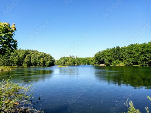 lake in the park