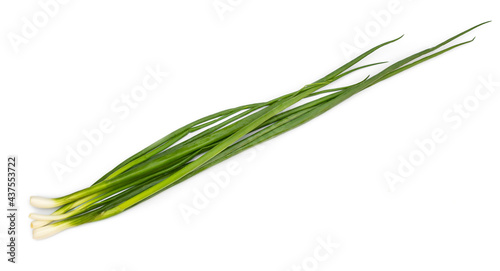 fresh green onion