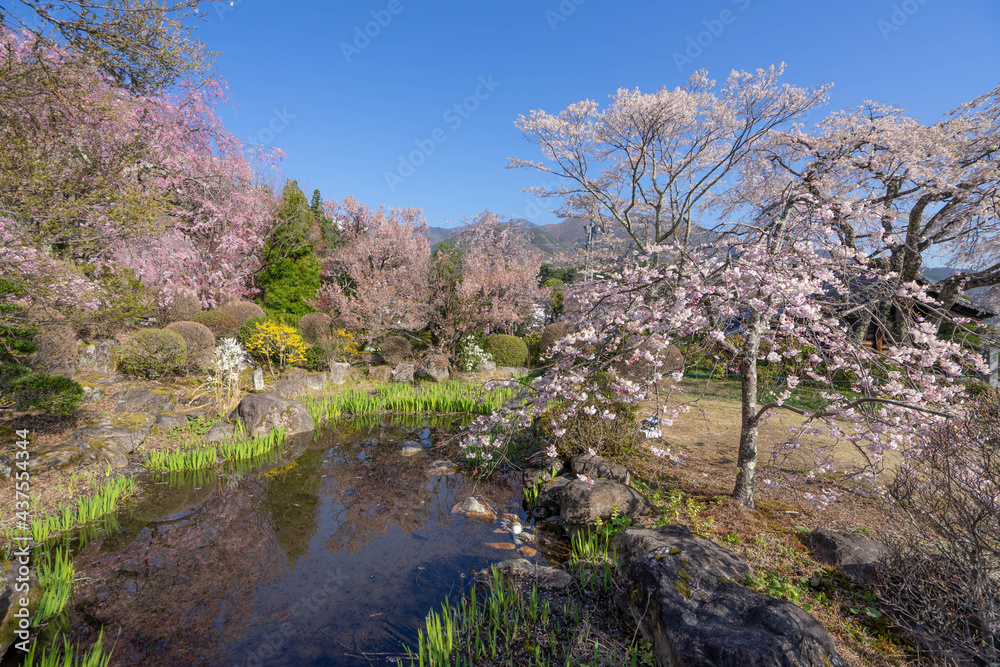 光前寺 光前寺