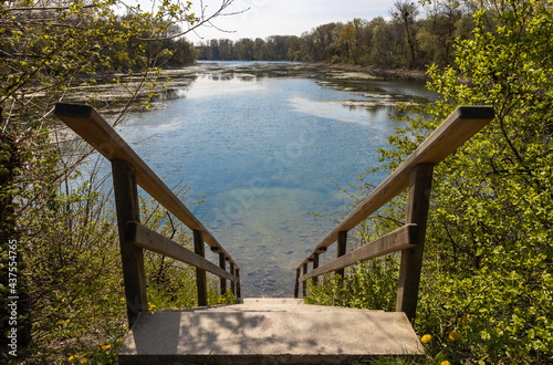 Die Lobau - Nationalpark in Wien photo