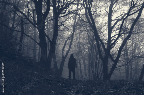 A hooded scary figure with glowing eyes. Standing in a spooky winter forest on a foggy day. With a monochrome edit © Dave