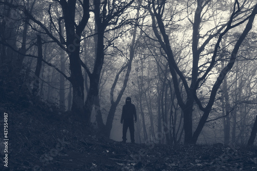 A hooded scary figure with glowing eyes. Standing in a spooky winter forest on a foggy day. With a monochrome edit