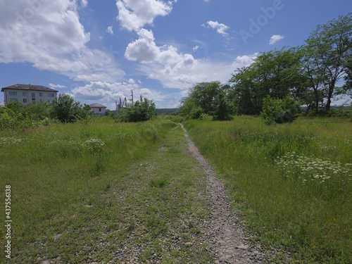 fresh green landscape under blue sky with clouds