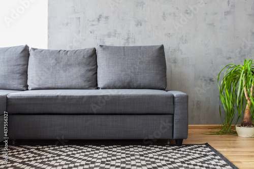 Cuadro en lienzo Gray sofa in an industrial living room