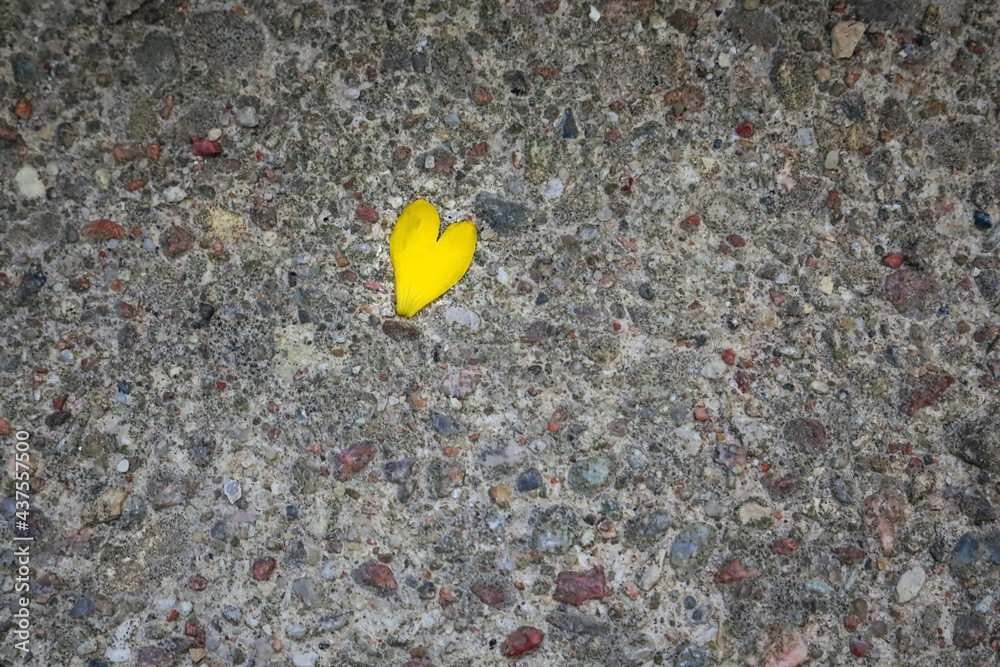 Yellow petal heart lying on paved road with colorful pebbles Yellow petal heart lying on paved road with colorful pebbles