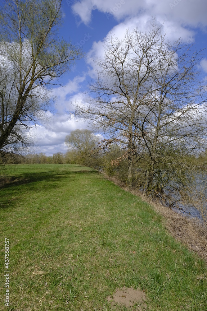 Naturschutzgebiet Mainaue bei Augsfeld, Landkreis Hassberge, Unterfranken, Franken, Bayern, Deutschland Naturschutzgebiet Mainaue bei Augsfeld, Landkreis Hassberge, Unterfranken, Franken, Bayern, Deutschland