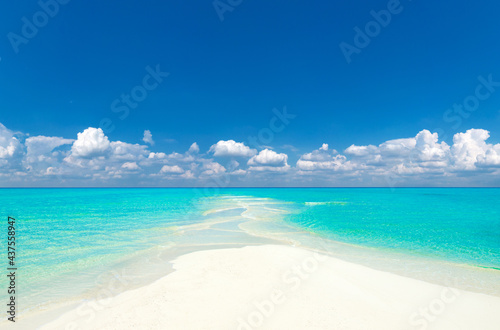Photo tropical Maldives island with white sandy beach and sea