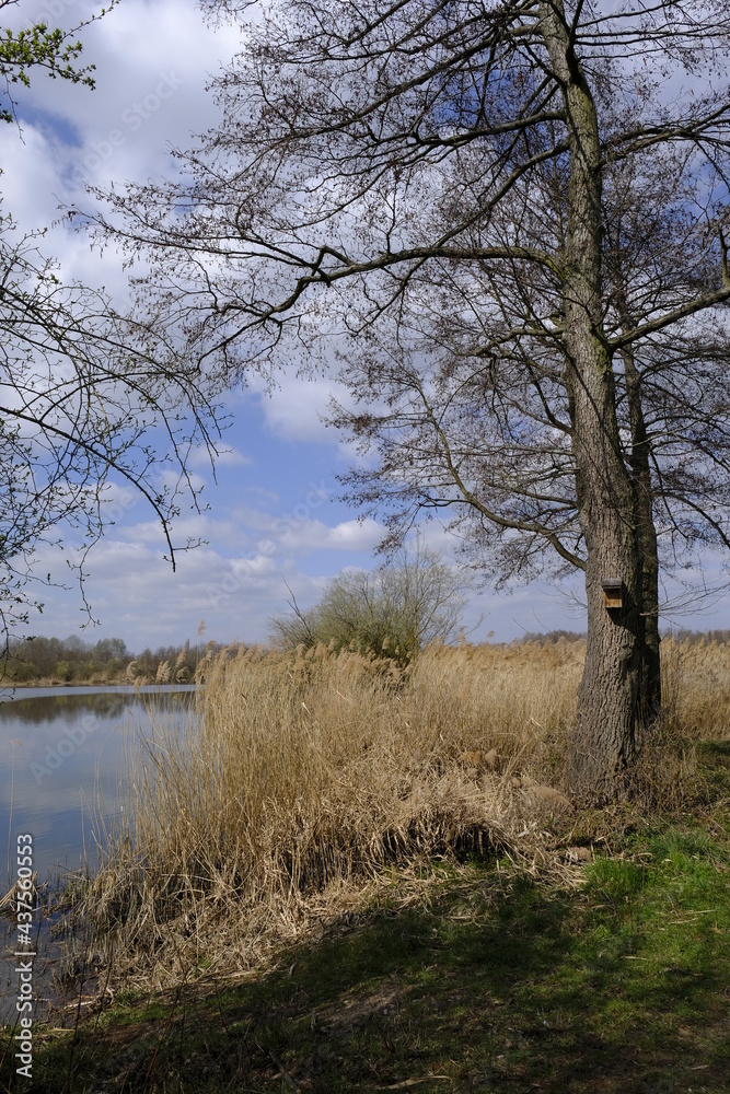 Sander Baggerseen im Naturschutzgebiet Mainaue bei Augsfeld, Landkreis Hassberge, Unterfranken, Franken, Bayern, Deutschland Sander Baggerseen im Naturschutzgebiet Mainaue bei Augsfeld, Landkreis Hassberge, Unterfranken, Franken, Bayern, Deutschland