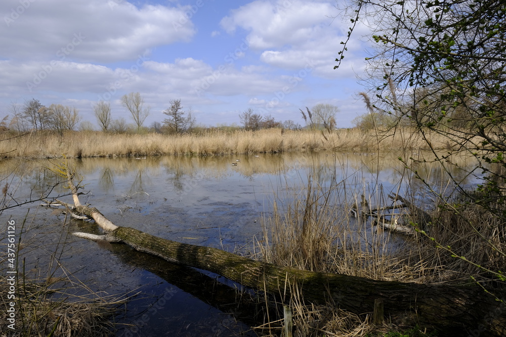 Sander Baggerseen im Naturschutzgebiet Mainaue bei Augsfeld, Landkreis Hassberge, Unterfranken, Franken, Bayern, Deutschland Sander Baggerseen im Naturschutzgebiet Mainaue bei Augsfeld, Landkreis Hassberge, Unterfranken, Franken, Bayern, Deutschland