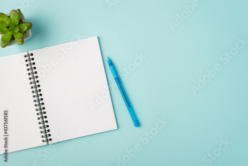 Top view photo of open notebook blue pen and plant on isolated pastel blue background with blank space photo