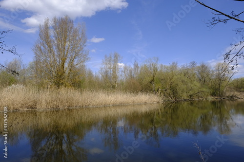 Sander Baggerseen im Naturschutzgebiet Mainaue bei Augsfeld, Landkreis Hassberge, Unterfranken, Franken, Bayern, Deutschland.