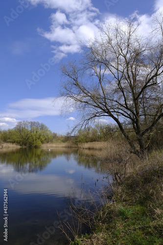 Sander Baggerseen im Naturschutzgebiet Mainaue bei Augsfeld, Landkreis Hassberge, Unterfranken, Franken, Bayern, Deutschland.