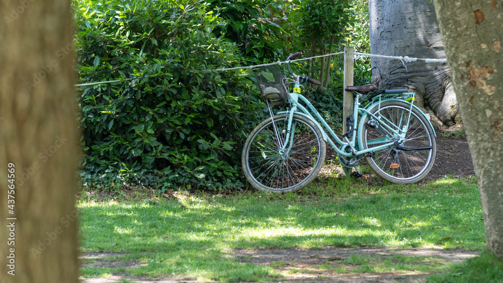 Light blue city bike near green bushes, glimpsed between two tree trunks