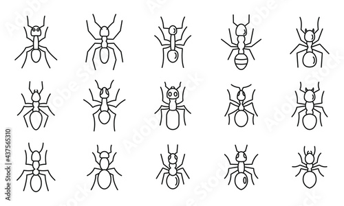 Wild ant icons set, outline style © anatolir