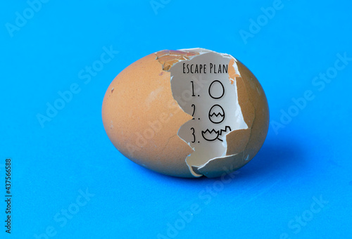 A cracked eggshell  with an escape plan drawn inside as a symbol of freedom