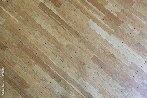 木製床, ゆか, フロア, 体育館 © 周平 小金澤