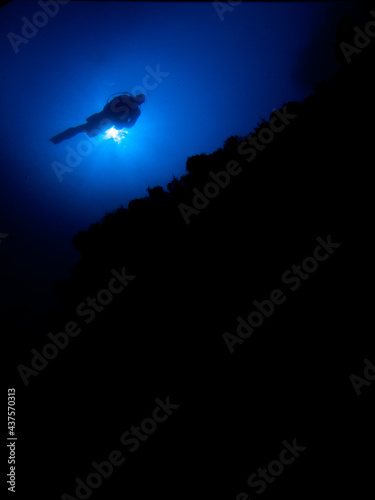 Silhouette of a diver backlit against the sun.