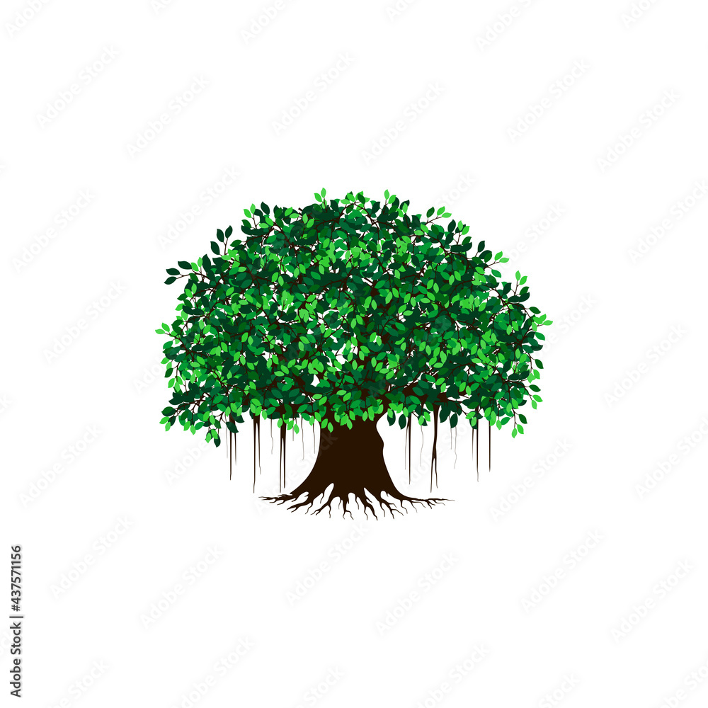 Banyan tree vector illustration. roots of banyan tree. Stock Vector ...