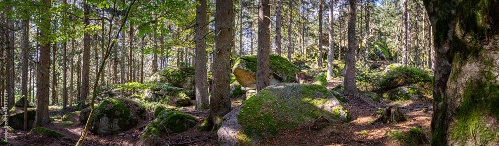 Hiking to the Saustein on Bröller Mountain in the Bavarian Forests Germany Hiking to the Saustein on Bröller Mountain in the Bavarian Forests Germany