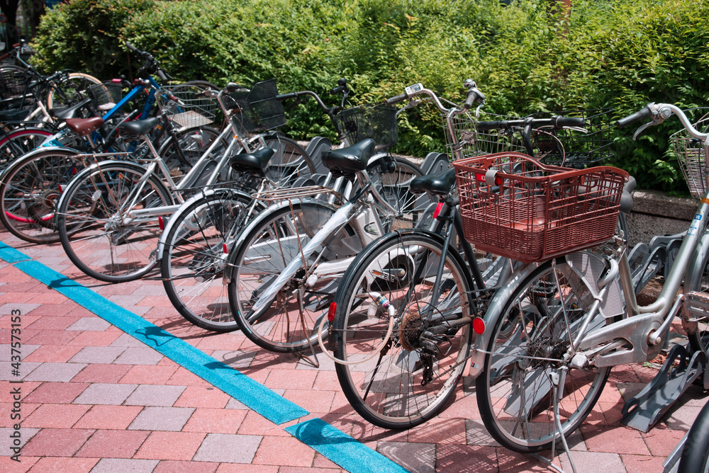 エコロジーな自転車たち