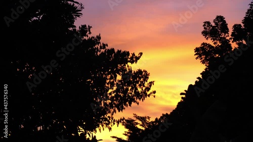Silhouette of forest on sunset background