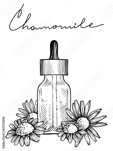 Chamomile essential oil, monochrome vector