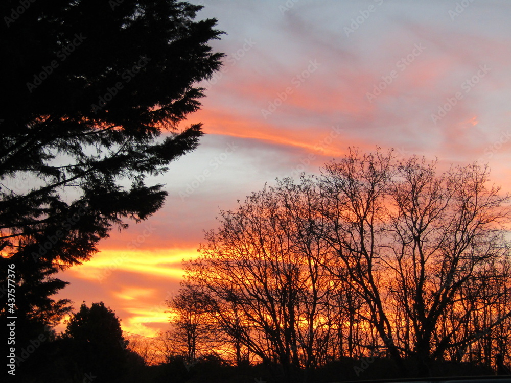 Fototapeta premium coucher de soleil