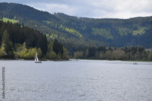 Fototapeta Naklejka Na Ścianę i Meble -  sailing at Schluchsee
