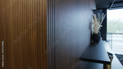 European  modern Living room with Woodwall