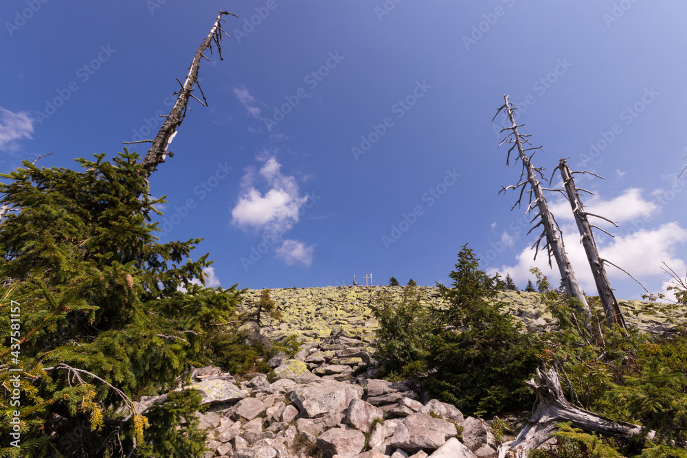 Obraz premium Aufstieg zum Lusen über die Himmelsleiter