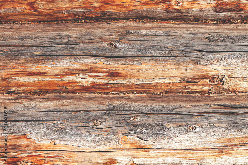Wooden background from three gray and brown dried, roughly cut logs with traces of knots and peeling bark Wooden background from three gray and brown dried, roughly cut logs with traces of knots and peeling bark