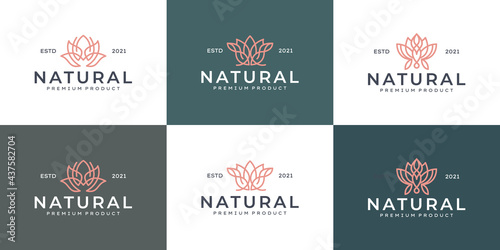 set of Luxury line art beauty flower logo design