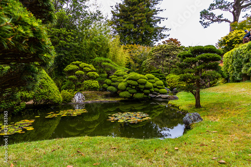 Green landscape of Japanese Tea Garden in Golden Gate Park  San Francisco