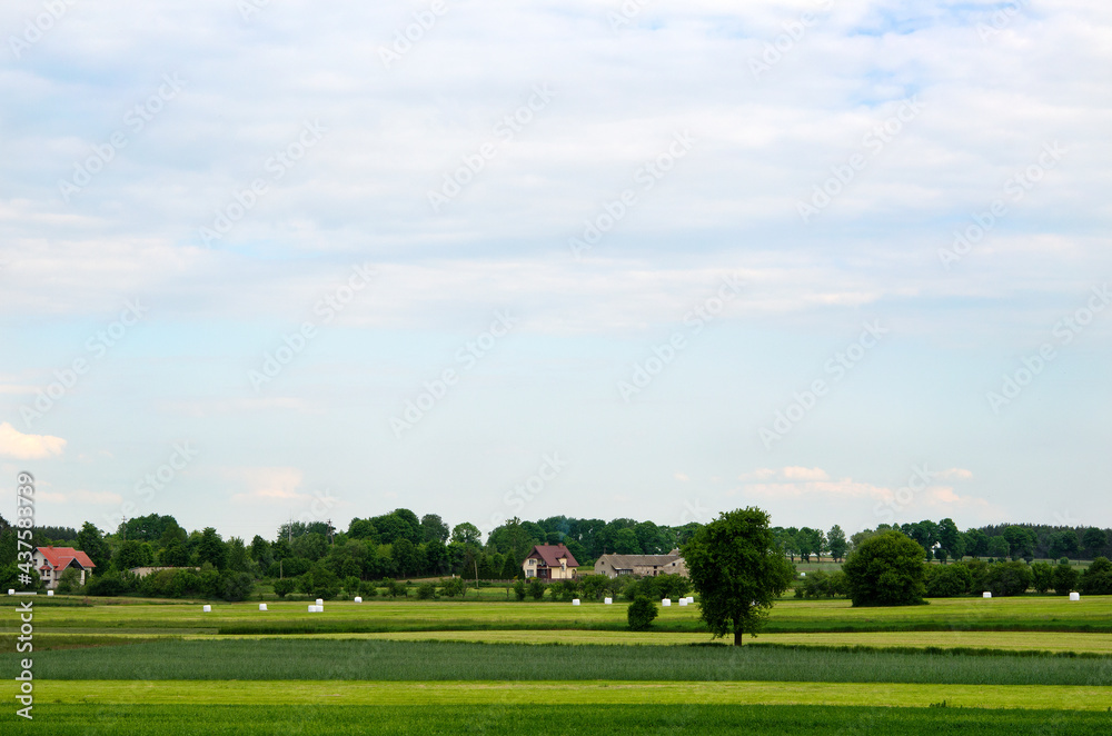 idealistic landscape in the countryside, fields and farmers' houses